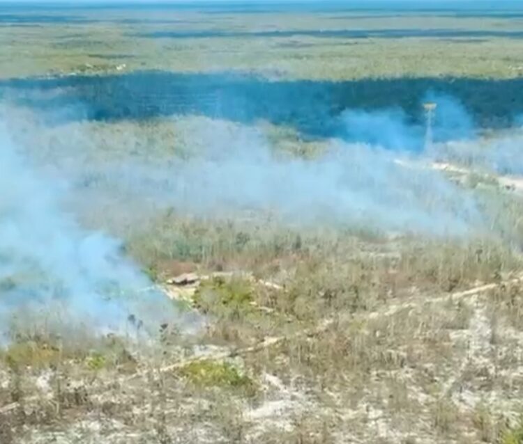 TRABAJAN BOMBEROS DE TULUM EN SOFOQUE DE DOS INCENDIOS FORESTALES