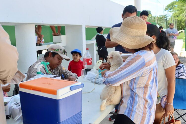 SUPERA PUERTO MORELOS META DE VACUNACIÓN ANTIRRABICA