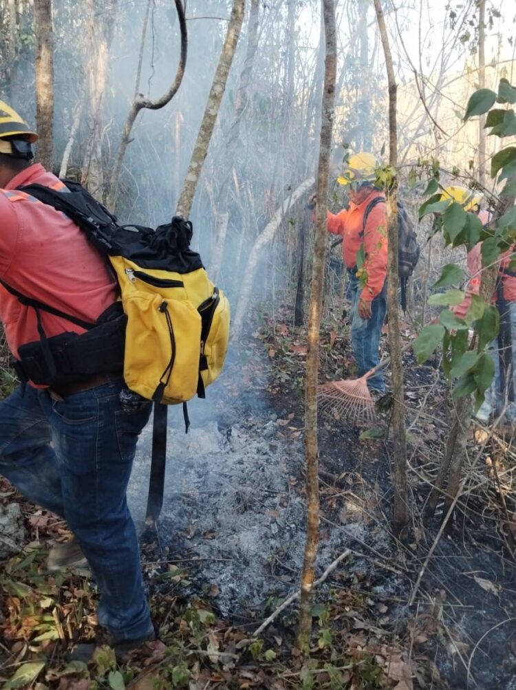 SOFOCAN INCENDIO FORESTAL EN PUERTO MORELOS